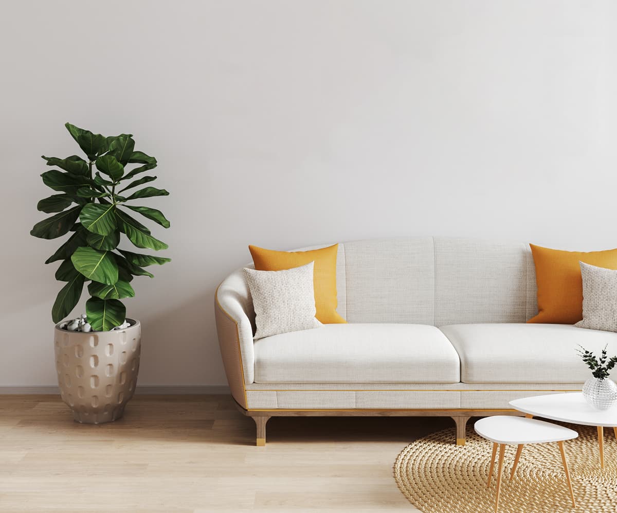 Sofa - Carter Jonas Living Sectors